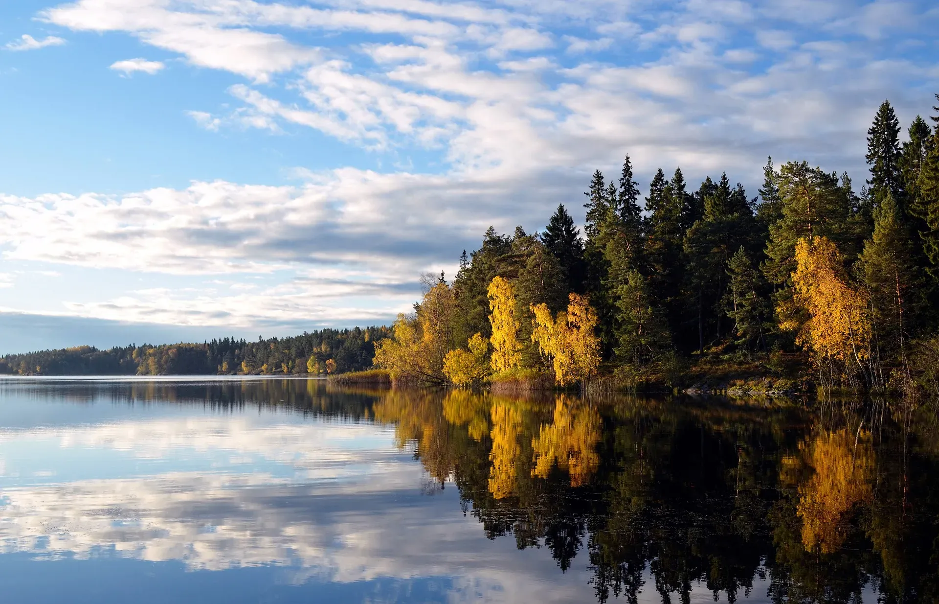 Swedish landscape